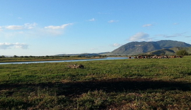 Workaway : 1 mois inoubliable dans un ranch en Mongolie