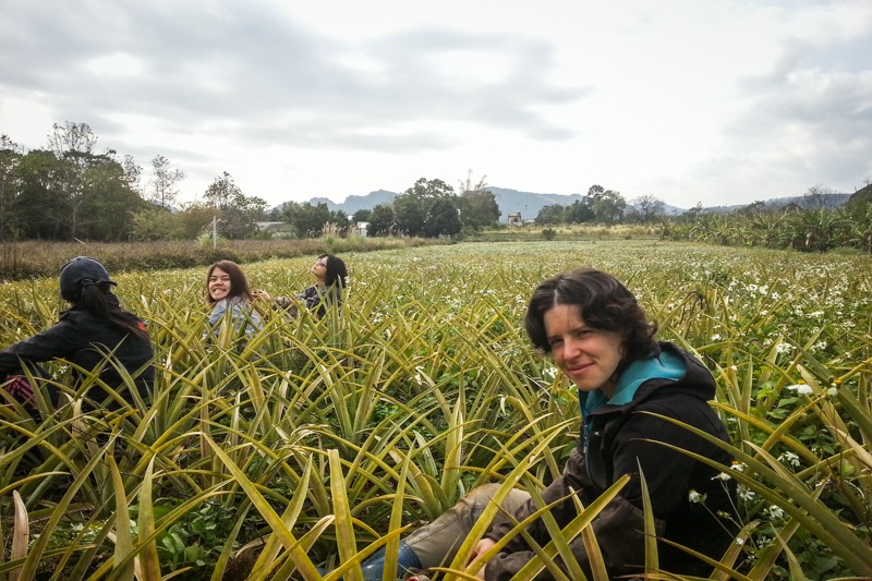 Ce bénévolat à Taïwan vous ressourcera par sa simplicité et son authenticité