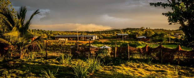 Un volontariat inoubliable dans une ferme en Malaisie