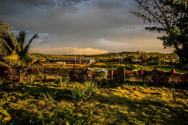Un volontariat inoubliable dans une ferme en Malaisie