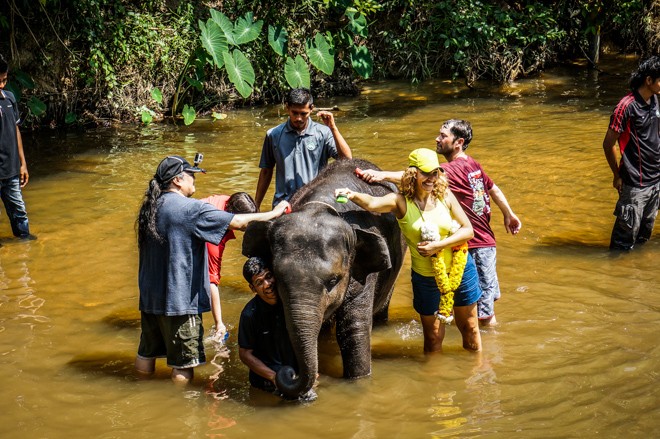 sanctuaire des éléphants lanchang volontariat malaisie