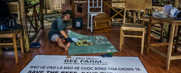 Sauveurs d’abeilles dans un volontariat au Vietnam