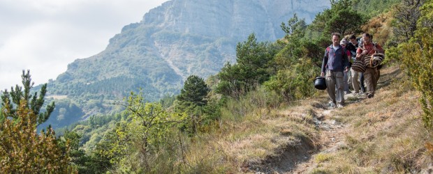 Stage vie sauvage et vagabondage : retrouvez le sauvage en vous