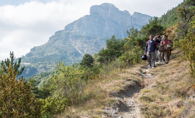 Stage vie sauvage et vagabondage : retrouvez le sauvage en vous