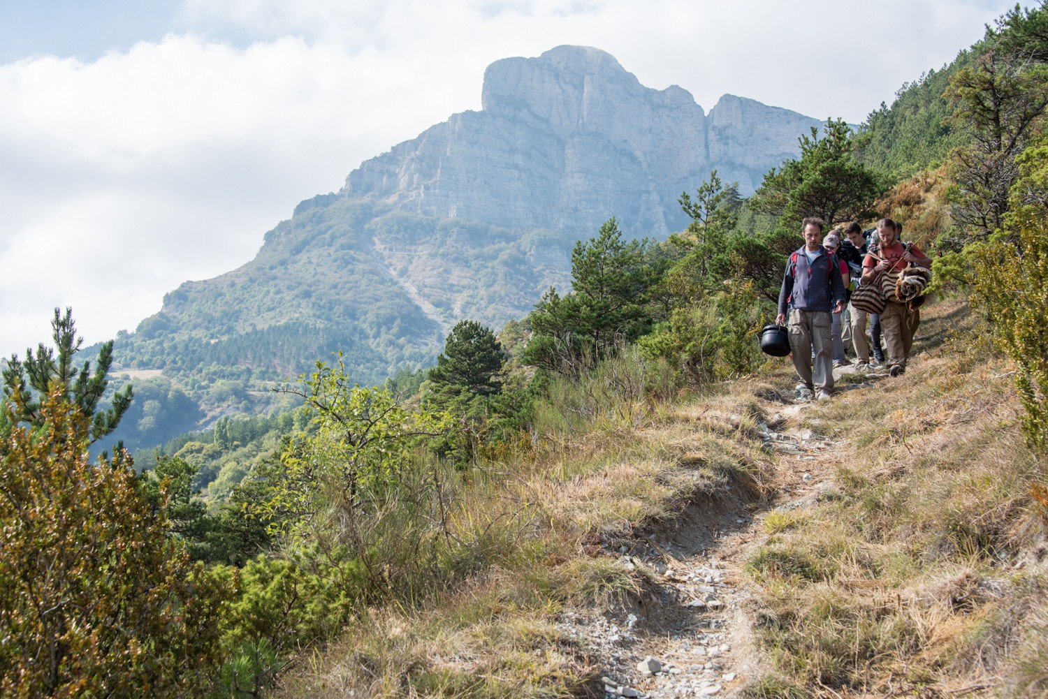 Stage vie sauvage et vagabondage : retrouvez le sauvage en vous