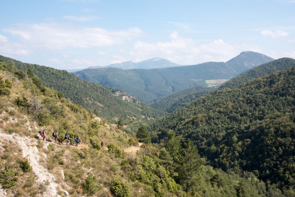 stage vie sauvage et vagabondage