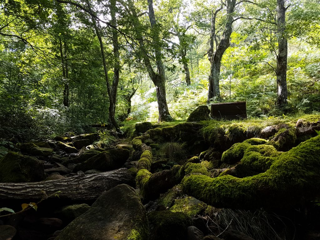 GR 10 randonnée pyrénées