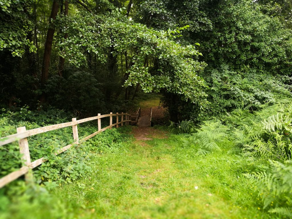 Landes belin-béliet au pays d'aliénor chambre d'hôtes