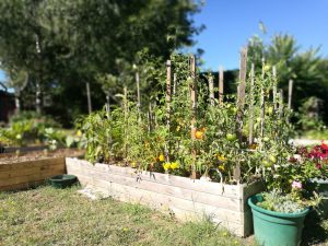 potager au pays d'aliénor chambre d'hôtes dans les landes